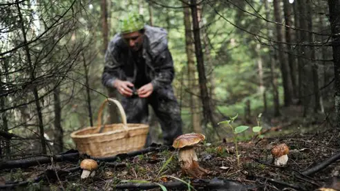 I skogen stötte en svampplockare på ett läskigt fynd😱Foto