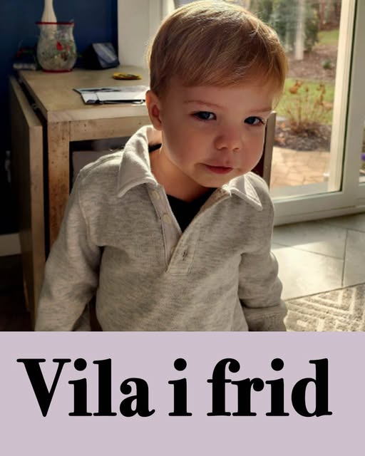 2-åring död – gick genom isen