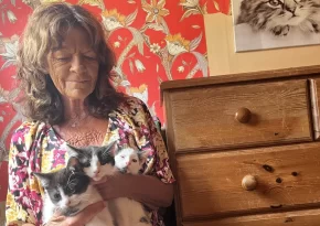 Kattungar dumpades i stekhet låda – Carina ryckte ut