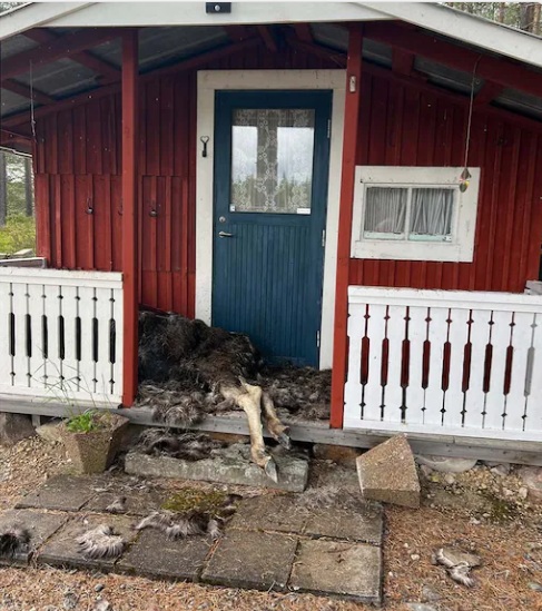 Midsommarfeiringen forvandlet seg til et mareritt på få sekunder