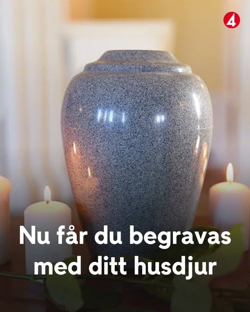 Historisk förändring: Du kan få ditt husdjur med dig på den sista resan