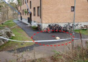 Högg ihjäl exflickvännen på gatan – döms till livstid
