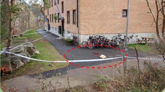 Högg ihjäl exflickvännen på gatan – döms till livstid