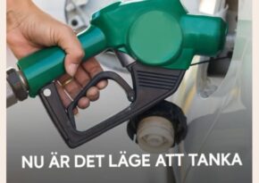 Tanka nu! Experter varnar: priserna kan skjuta i höjden i höst