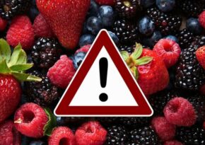 Hepatitis-Viren in Beeren