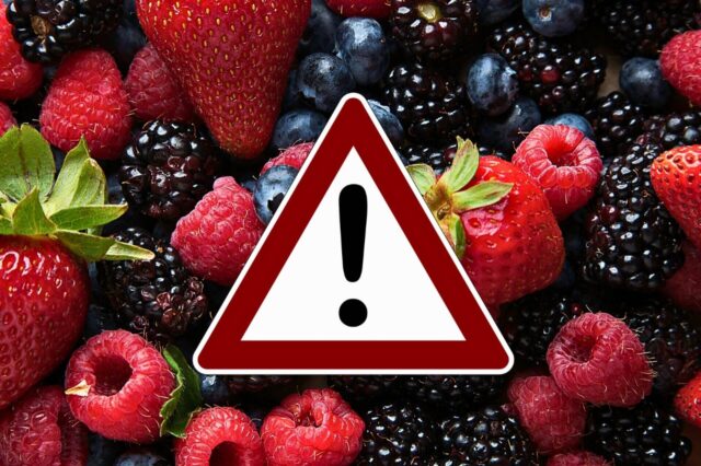 Hepatitis-Viren in Beeren
