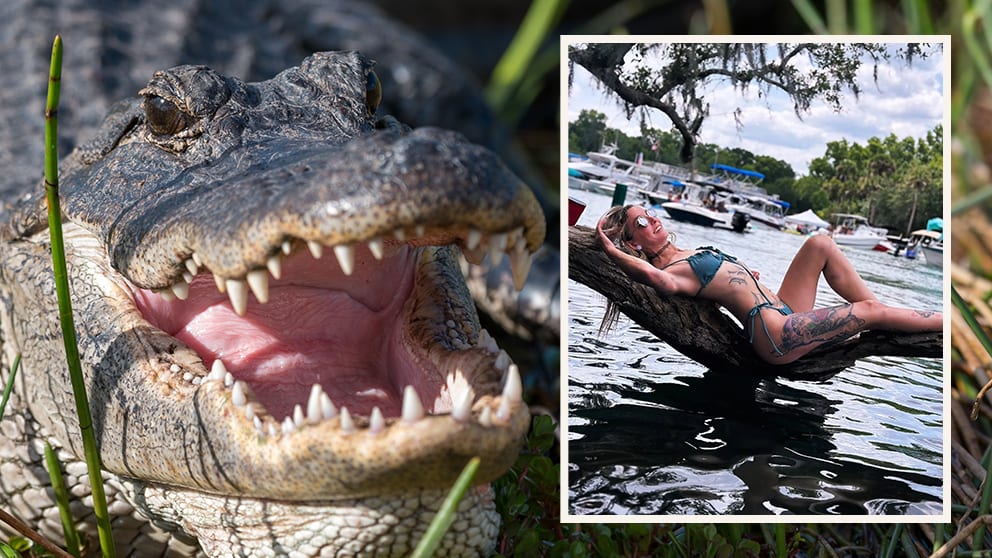 Alligator beißt Frau (31) aus Florida beide Arme ab