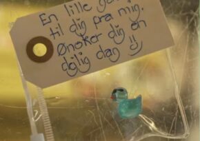 Mystiska små ankor dyker upp överallt – ingen vet vem som ligger bakom