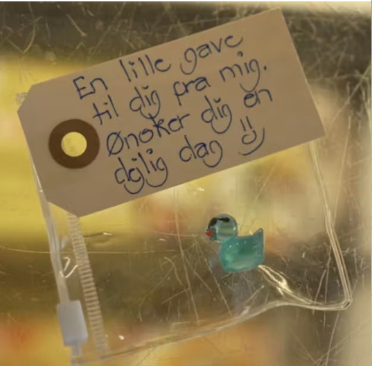 Mystiska små ankor dyker upp överallt – ingen vet vem som ligger bakom